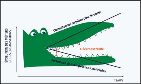 syndrome-crocodile-1